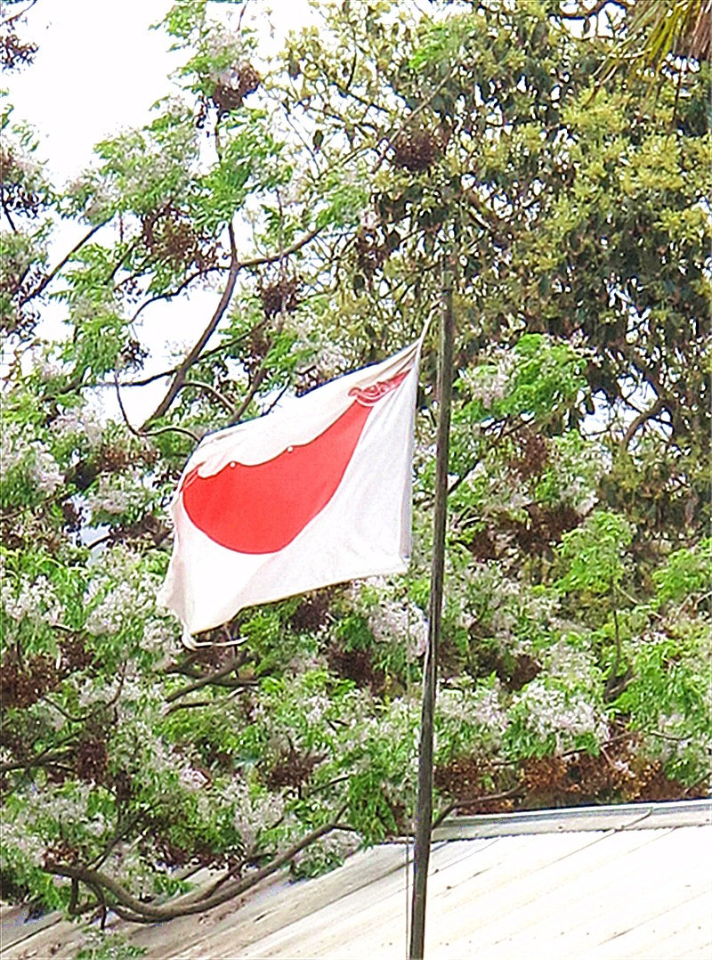 复活节岛"岛旗"