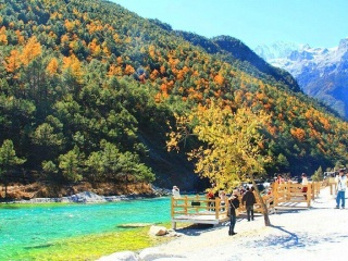 西双版纳旅游安排_双飞西双版纳十日游多少钱_去西双版纳旅游度假