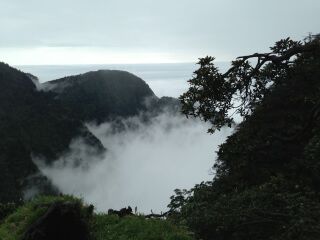 成都自由行組團_成都報團旅游多少錢_去成都游怎么省錢