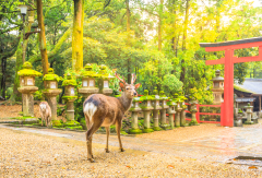 景点模块 