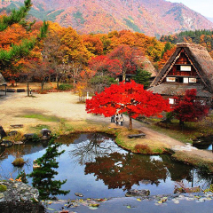 白川乡合掌村秋 景点模块