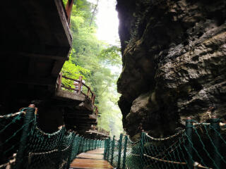 重庆旅游团价格_重庆七日跟团游_重庆旅游包团价格