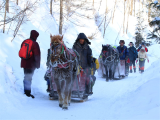 東北長(zhǎng)白山自由行還是跟團(tuán)好_怎么去東北長(zhǎng)白山旅游_旅游團(tuán)東北長(zhǎng)白山