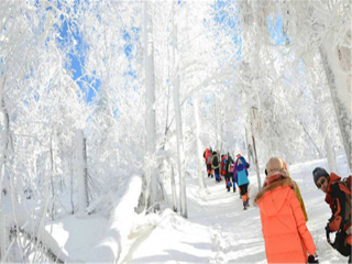 到東北哈爾濱旅游_東北哈爾濱最佳旅游路線_東北哈爾濱特價旅游團報價