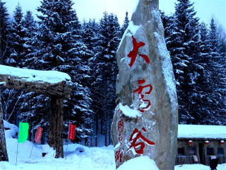東北長(zhǎng)白山自由行還是跟團(tuán)好_怎么去東北長(zhǎng)白山旅游_旅游團(tuán)東北長(zhǎng)白山