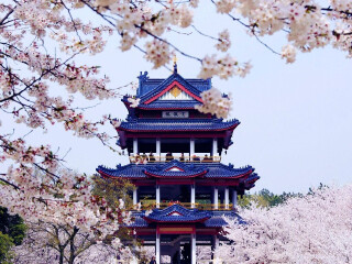 華東旅游多少錢_到華東旅游多少錢_華東旅游花多少錢