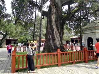 西安華山報(bào)團(tuán)多少錢_西安華山旅游團(tuán)報(bào)價(jià)_西安華山旅行跟團(tuán)