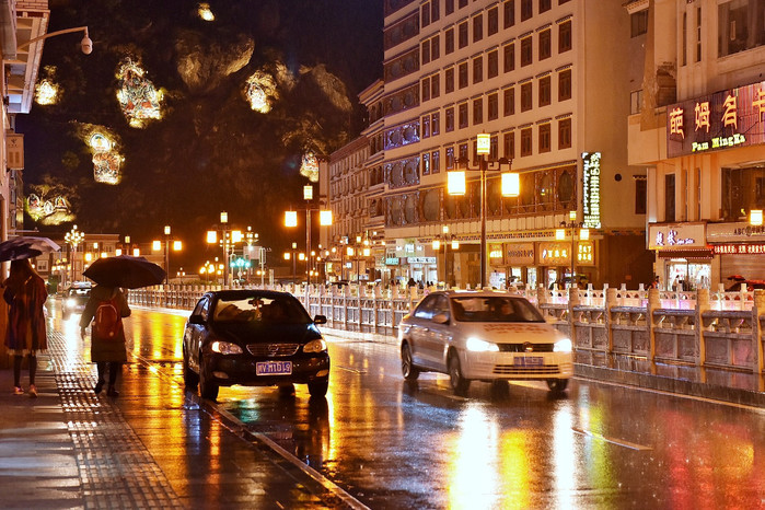 个有霓虹灯的漂亮城市又下着雨,这样的城市夜景是相当能出片的,可惜