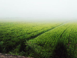 西安華山報(bào)團(tuán)多少錢_西安華山旅游團(tuán)報(bào)價(jià)_西安華山旅行跟團(tuán)