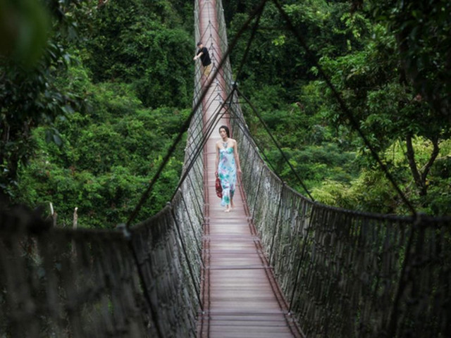 过江龙索桥自费 这座横跨在青翠的山谷之间的大吊桥