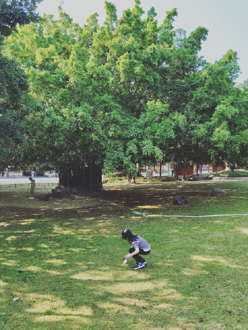 五天四晚三亚家庭游攻略(含必玩景点)