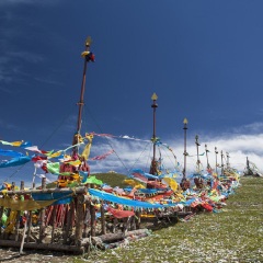 景点模块 