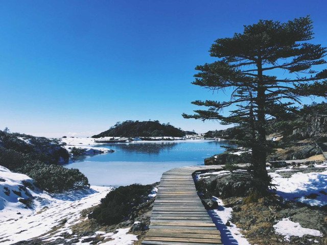 云南昆明骄子雪山1日游领略滇中雪域奇观舒心纯玩含门票摆渡车费往返