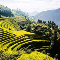 景点模块 