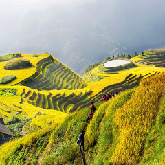 景点模块 