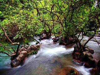 貴州旅游花多少錢_貴州旅游團(tuán)報(bào)價_深圳到貴州旅游報(bào)價