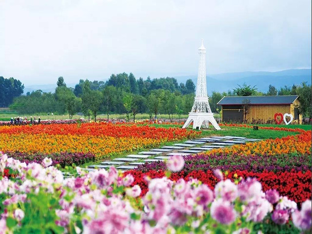 壁纸 成片种植 风景 花 植物 种植 桌面 640_480