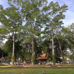 景点模块 
