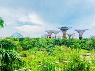 去泰新馬旅游怎么走_深圳到泰新馬旅游報價_以往國慶泰新馬游價格