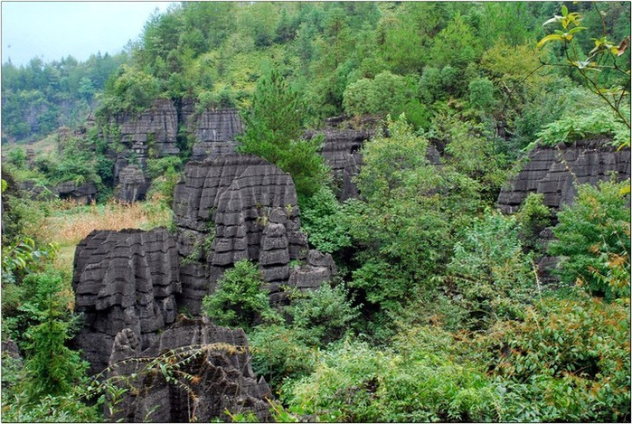 恩施梭布垭石林景区      