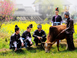 跟团桂林旅游线路_旅行团桂林旅游_到桂林的旅行