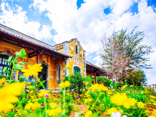 2021去云南麗江旅游團(tuán)報(bào)價(jià)_現(xiàn)在去云南麗江旅游多少錢_云南麗江旅游花費(fèi)一般多少