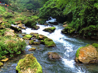 越南下龍灣八月份旅游_越南下龍灣旅游一次多少錢_組團去越南下龍灣