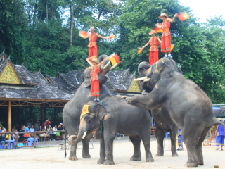 西双版纳旅游出境游_到西双版纳旅游报价_西双版纳旅游报价