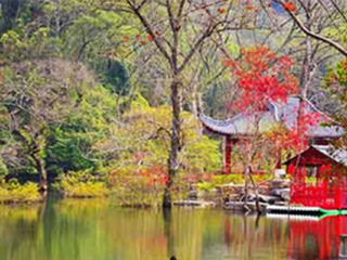 桂林陽(yáng)朔跟團(tuán)游與自由行_桂林陽(yáng)朔旅游多少錢(qián)_桂林陽(yáng)朔旅行團(tuán)旅游報(bào)價(jià)