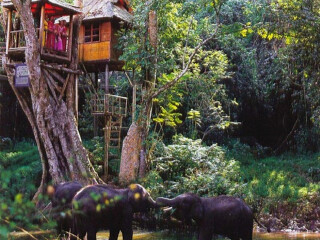 到丽江旅游线路_丽江纯玩旅游团_旅游团丽江旅游