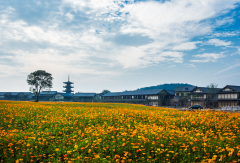 景点模块 