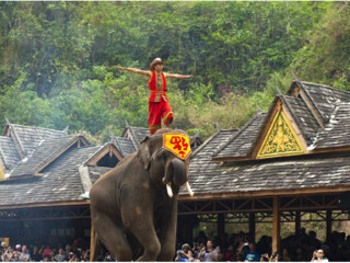 去云南麗江靠譜的旅行團(tuán)_現(xiàn)在去云南麗江旅游多少錢_報(bào)團(tuán)去云南麗江多少錢