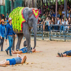 东芭乐园民俗文化2 景点模块