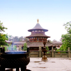活动模块 