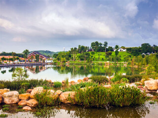 越南下龍灣八月份旅游_越南下龍灣旅游一次多少錢_組團去越南下龍灣