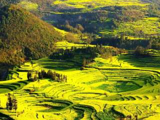 云南昆明旅游要多少錢跟團(tuán)_到云南昆明旅游多少錢_報(bào)團(tuán)去云南昆明多少錢
