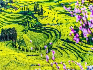 云南昆明自由行組團_云南昆明旅游要多少錢跟團_云南昆明游組團
