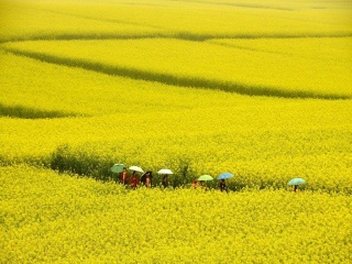 云南昆明旅游要多少錢跟團(tuán)_到云南昆明旅游多少錢_報(bào)團(tuán)去云南昆明多少錢