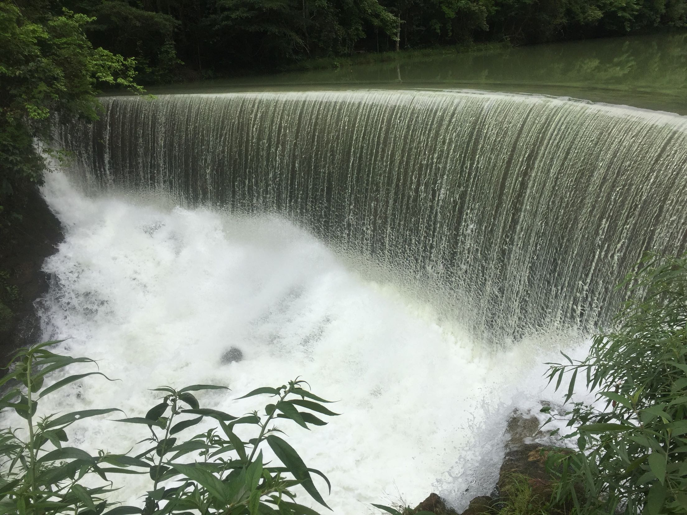 请问当地天气如何?56月份去,雨水多吗