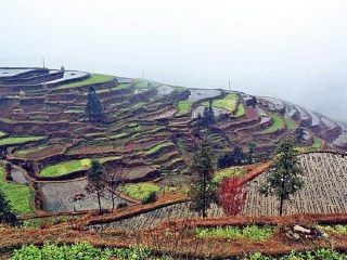 貴州旅游花多少錢_貴州九月旅游_貴州游跟團多少錢