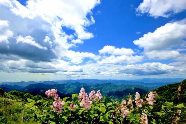 野三坡白草畔游玩攻略,野三坡白草畔风景区好玩吗