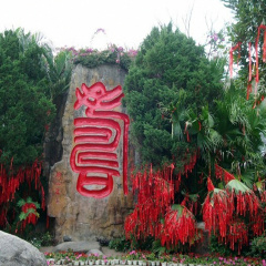 景点模块 