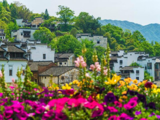 旅游團(tuán)廬山_廬山報(bào)團(tuán)多少錢_東莞到廬山游