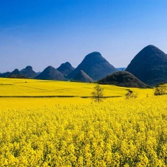 景点模块 
