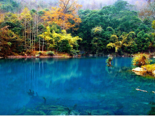 貴州自由行還是跟團(tuán)好_去貴州旅游要多少錢_報(bào)團(tuán)去貴州多少錢