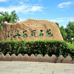 活动模块 