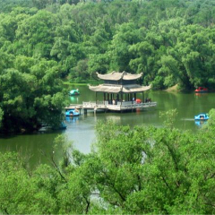 活动模块 