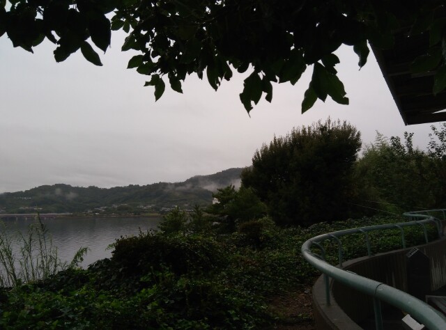 离开富士山后,我们的大巴向东京驶去。一路上导游小丁告诉大家:东京的历史可以追溯到约400年前。1603年德川家康在这里建立德川幕府,东京由此开始了繁盛时期。当时,东京被称为江户,是日本政治及文化中心,18世纪中期发展为人口超过 100万的大城市。 1868年江户幕府倒台,江户改称为东京。自此,天皇由京都迁至东京,东京成为名符其实的日本首都。 明治时代(1868年1912年),日本大规模吸收西方文明,大名宅邸旧址上,建造了砖墙石壁的建筑,主要道路也铺上了鹅卵石。1869年,东京横滨间开设了日本第一