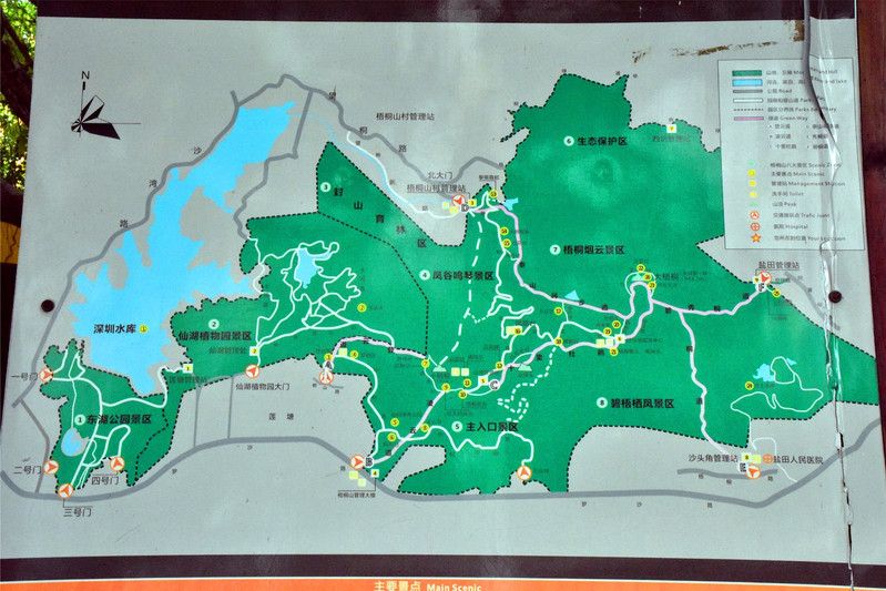 梧桐山登山线路图.可以看出登梧桐山的道路有七,八条之多.