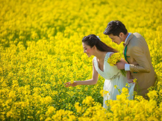 8月到昆明旅游_昆明旅游行程报价_春节前去昆明旅游团